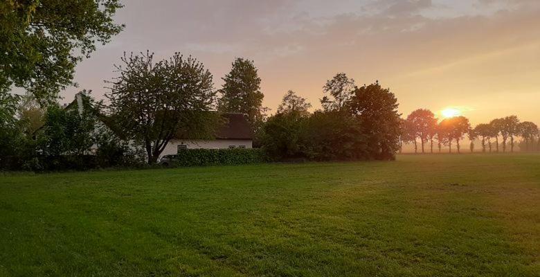 Guesthouse Rijsbergen_Zundert Экстерьер фото