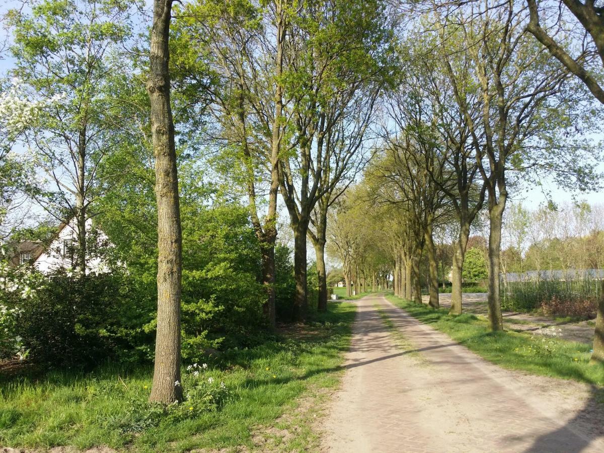 Guesthouse Rijsbergen_Zundert Экстерьер фото